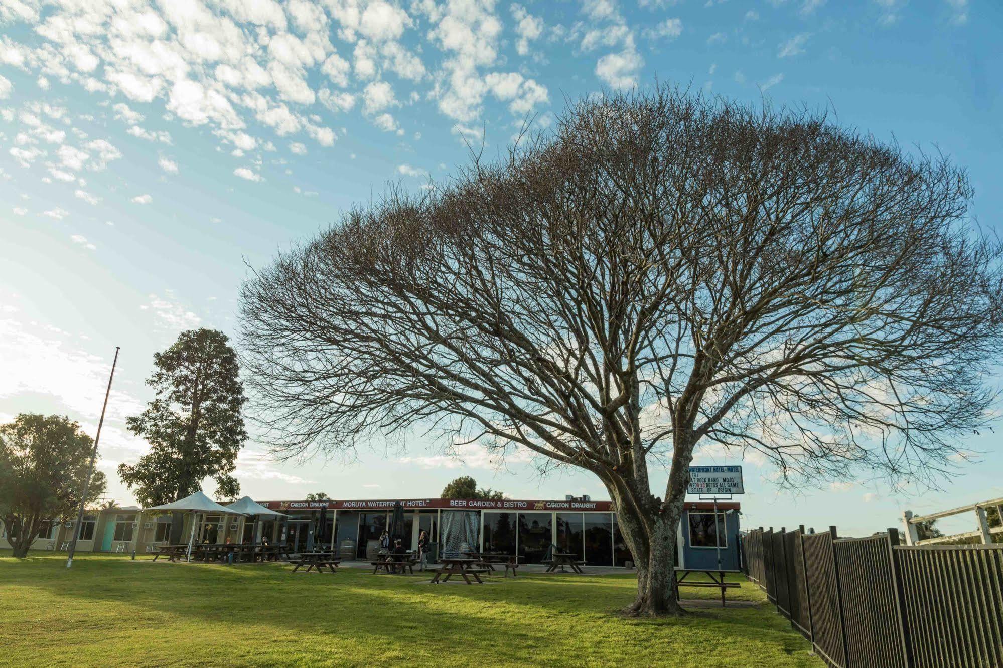 Moruya Waterfront Hotel Motel Εξωτερικό φωτογραφία